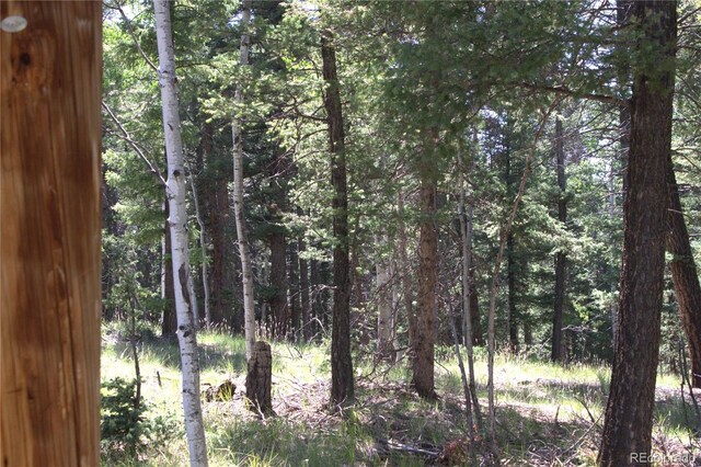 358 Pawutsy Rd, Florissant, CO 80816