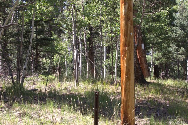 358 Pawutsy Rd, Florissant, CO 80816