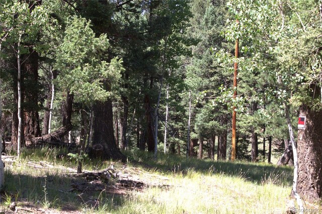 358 Pawutsy Rd, Florissant, CO 80816