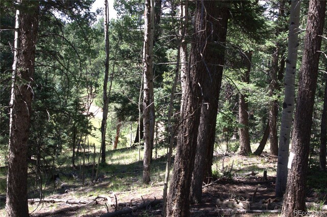 358 Pawutsy Rd, Florissant, CO 80816