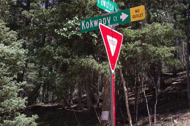 358 Pawutsy Rd, Florissant, CO 80816