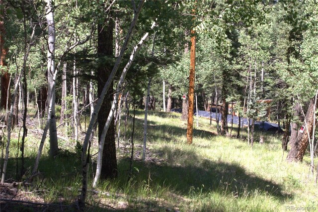 358 Pawutsy Rd, Florissant, CO 80816