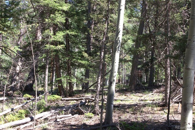 358 Pawutsy Rd, Florissant, CO 80816