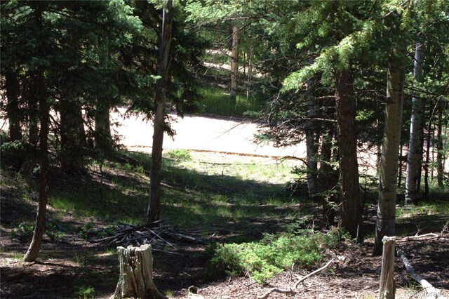 358 Pawutsy Rd, Florissant, CO 80816