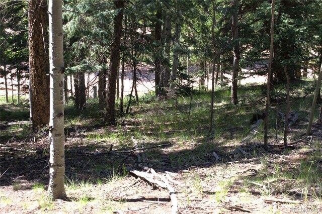 358 Pawutsy Rd, Florissant, CO 80816