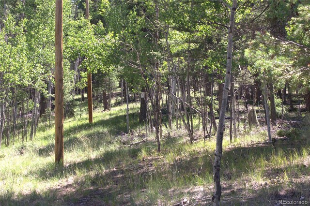 358 Pawutsy Rd, Florissant, CO 80816