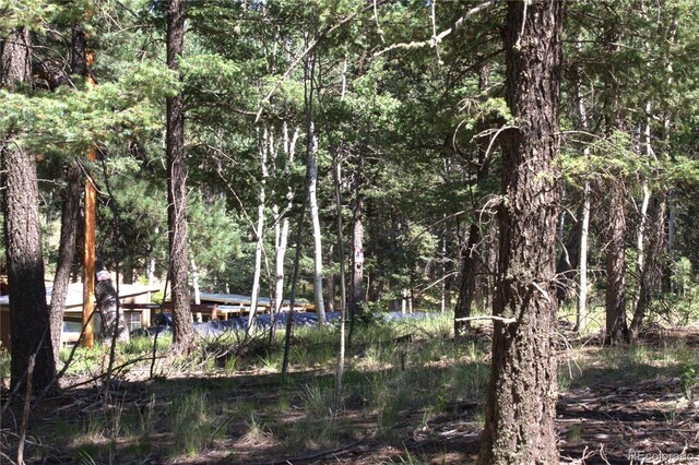 358 Pawutsy Rd, Florissant, CO 80816