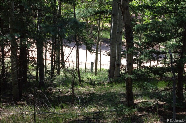 358 Pawutsy Rd, Florissant, CO 80816