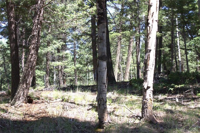 358 Pawutsy Rd, Florissant, CO 80816