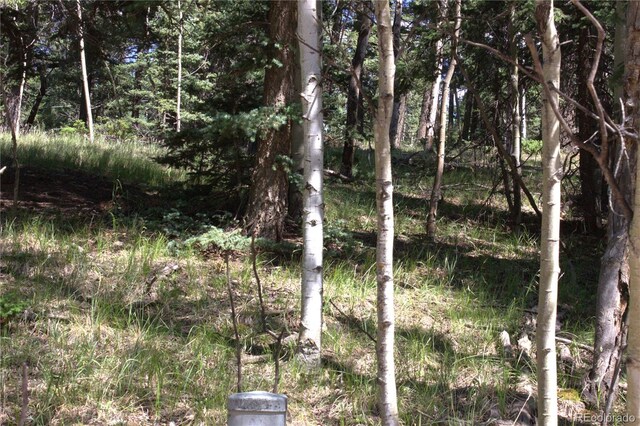 358 Pawutsy Rd, Florissant, CO 80816
