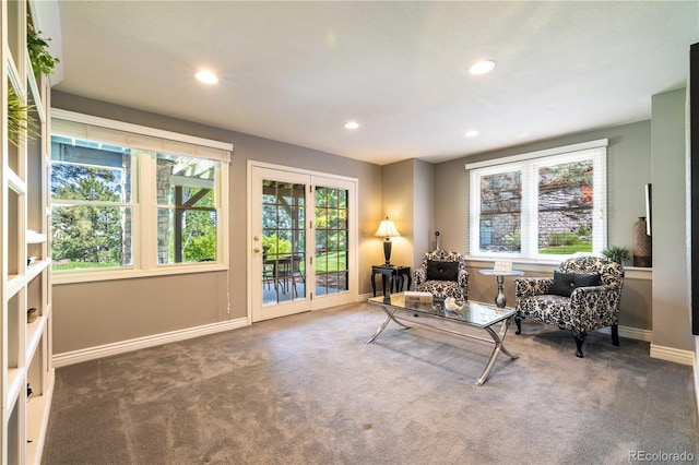 9 Roder Gate Ln, Castle Pines, CO 80108 - sitting room with carpet flooring, plenty of natural light, baseboards, and recessed lighting