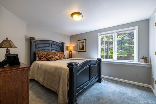 9 Roder Gate Ln, Castle Pines, CO 80108 - carpeted bedroom featuring baseboards