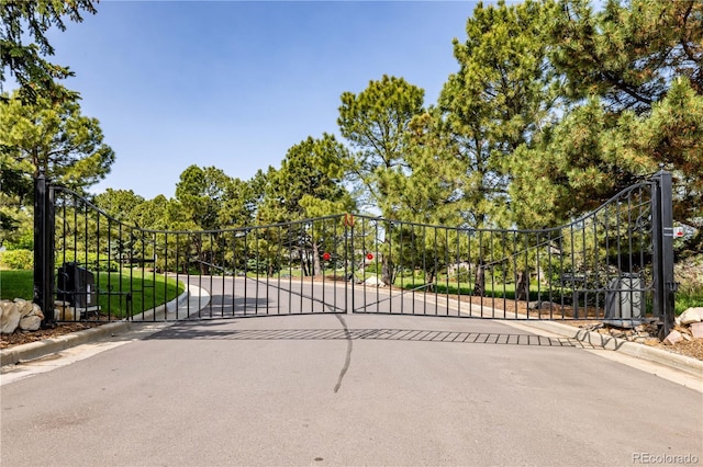 9 Roder Gate Ln, Castle Pines, CO 80108 - view of gate