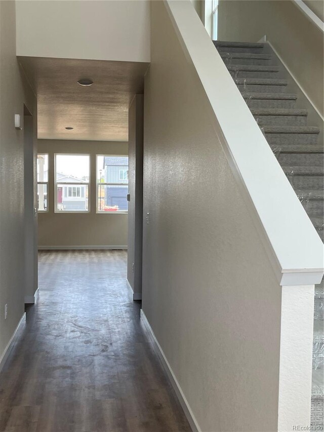 3172 Conquest St, Fort Collins, CO 80524 - photo 3