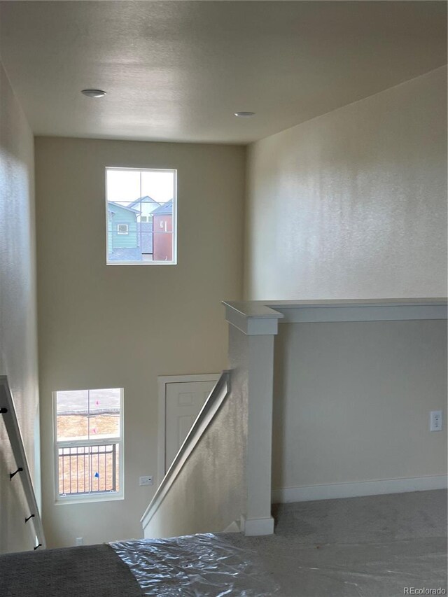 3172 Conquest St, Fort Collins, CO 80524 - photo 6