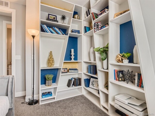 mudroom featuring carpet