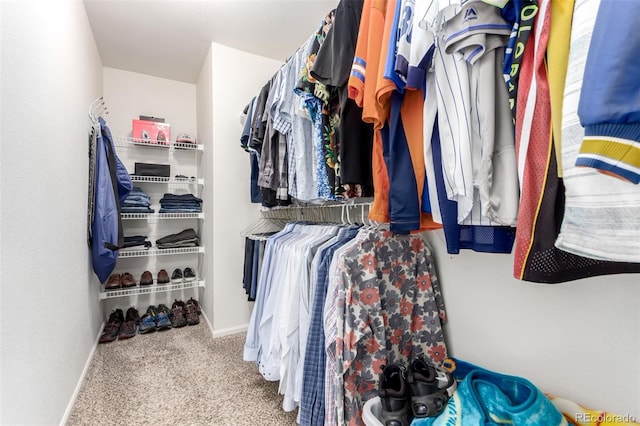 3505 Dinosaur St, Castle Rock, CO 80109 - spacious closet with carpet floors