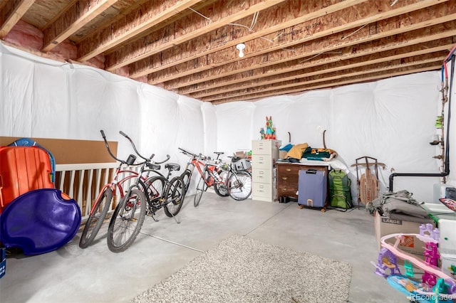 3505 Dinosaur St, Castle Rock, CO 80109 - view of below grade area