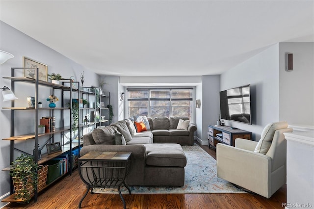 living room featuring wood-type flooring