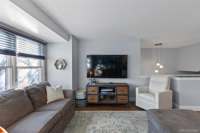 living room with wood-type flooring