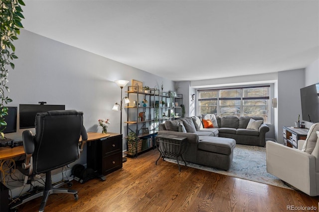 office space with hardwood / wood-style flooring