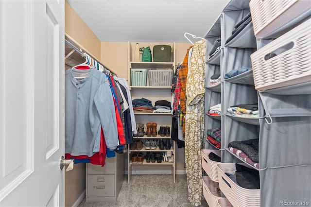 spacious closet featuring carpet floors