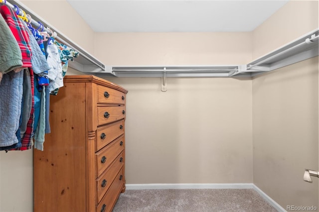 spacious closet featuring light carpet