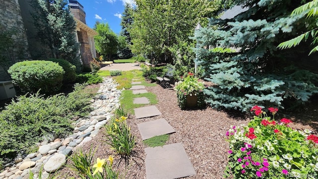 view of yard