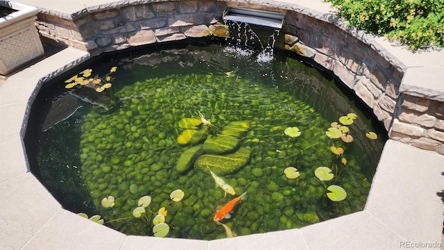 details with a small pond
