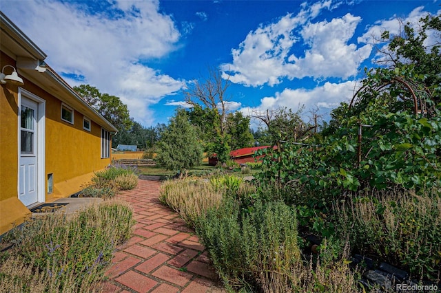 view of yard with a patio area