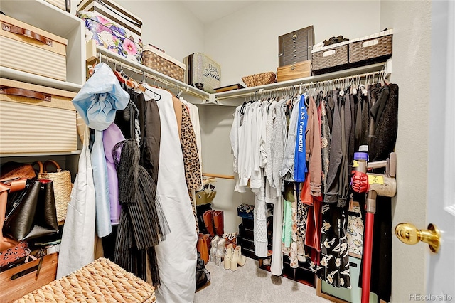 spacious closet with carpet