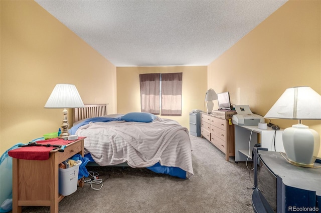 bedroom with carpet floors and a textured ceiling