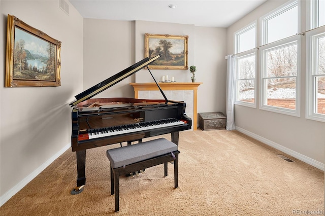 living area featuring carpet, visible vents, and baseboards