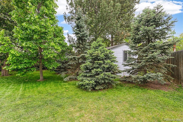 4285 Newland St, Wheat Ridge, CO 80033 - view of yard