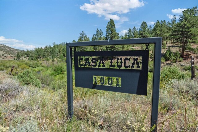 1001 County Road 200, Poncha Springs, CO 81242 - photo 4