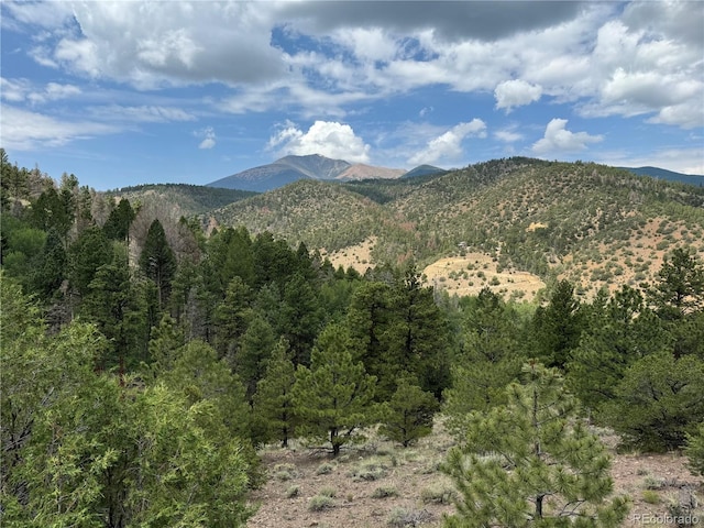 1001 County Road 200, Poncha Springs, CO 81242 - photo 31