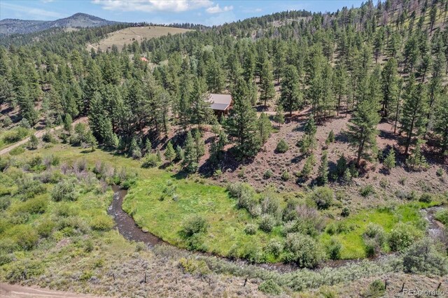 1001 County Road 200, Poncha Springs, CO 81242 - photo 32