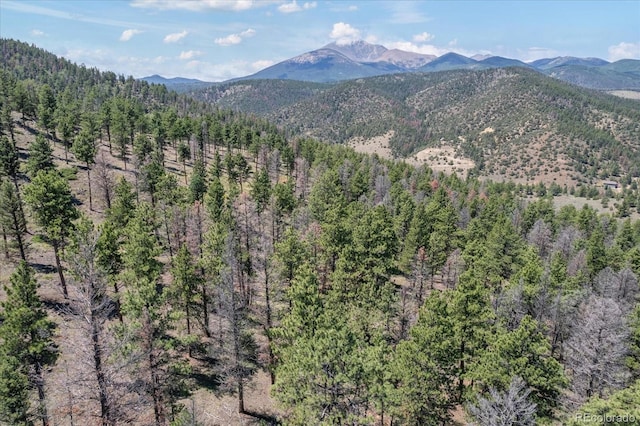 1001 County Road 200, Poncha Springs, CO 81242 - photo 33