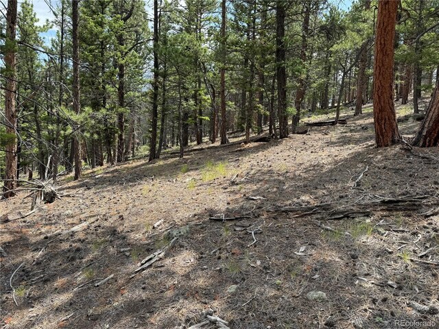1001 County Road 200, Poncha Springs, CO 81242 - photo 34