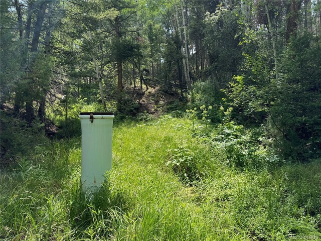 1001 County Road 200, Poncha Springs, CO 81242 - photo 38