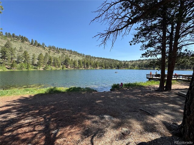 1001 County Road 200, Poncha Springs, CO 81242 - photo 44