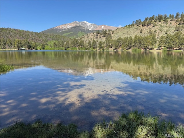 1001 County Road 200, Poncha Springs, CO 81242 - photo 45