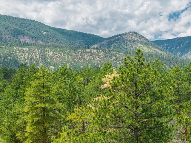 4485 Delaware Dr, Larkspur, CO 80118 - photo 2