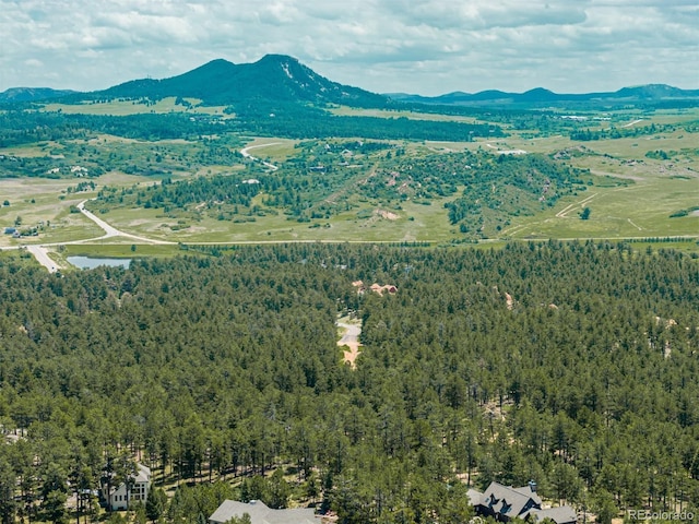 4485 Delaware Dr, Larkspur, CO 80118 - photo 3