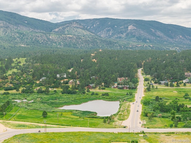 4485 Delaware Dr, Larkspur, CO 80118 - photo 4