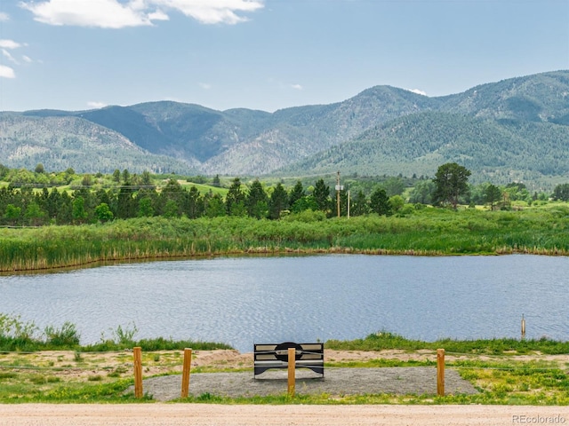 4485 Delaware Dr, Larkspur, CO 80118 - photo 5