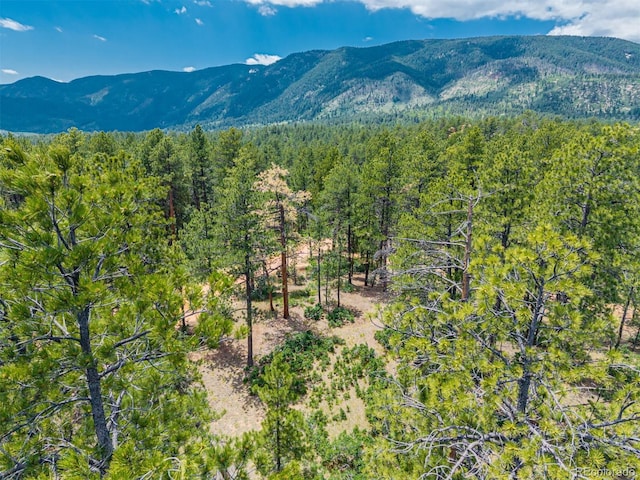 4485 Delaware Dr, Larkspur, CO 80118 - photo 6