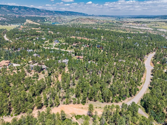 4485 Delaware Dr, Larkspur, CO 80118 - photo 7