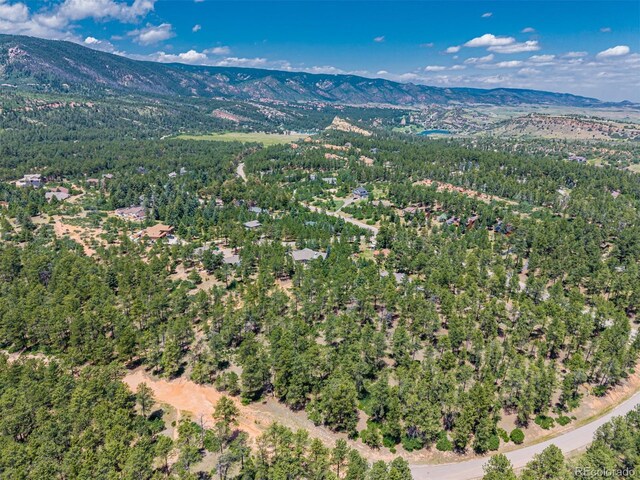 4485 Delaware Dr, Larkspur, CO 80118 - photo 8