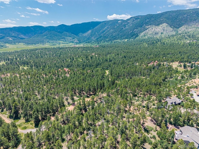 4485 Delaware Dr, Larkspur, CO 80118 - photo 10